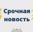 В Новгородской области проводится опрос родителей для корректировки работы детских садов в нерабочую неделю - Комитет по образованию