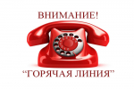 О проведении совместной «Горячей линии».
